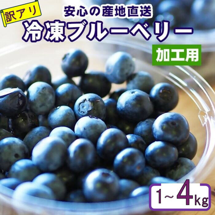 【ふるさと納税】【訳アリ】冷凍ブルーベリー 1kg～4kg ブルーベリー ぶるーべりー フルーツ 果物 果実 産地直送 季節限定 数量限定 季節限定 ぶるべりちゃんの畑 鹿児島県 薩摩川内市 送料無料