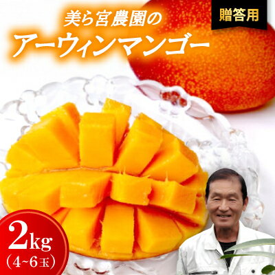 【ふるさと納税】【2026年7月から順次発送・贈答用】美ら宮農園のアーウィンマンゴー2kg(4～6玉)【配送不可地域：離島】【1695311】