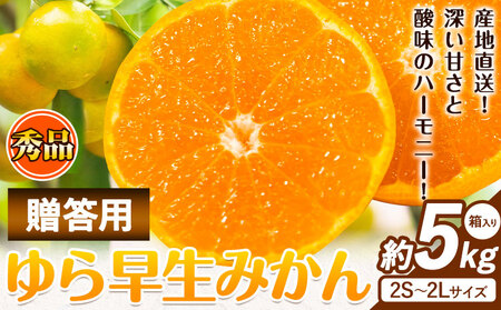 【先行予約】秀品 贈答用 ゆら 早生みかん 約 5kg (2S～2Lサイズ)  みかん