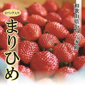 特選☆いちご【まりひめ】【2026年1月中旬から5月上旬まで発送】【KF9】【A212-frks108】