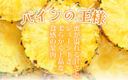 ＜先行予約＞ 石垣島産 ゴールドバレルパイン 大玉3個入り 約5.1kg ＜2026年7月以降発送＞ | 産地直送 沖縄 石垣 フルーツ パイナップル パイン ゴールドバレルパイン SI-40
