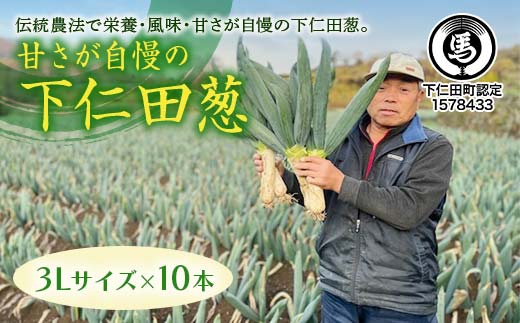 甘さが自慢の下仁田葱（3Lサイズ 10本） とろける 甘い ねぎ ネギ 王様ねぎ 特産 栄養たっぷり ブランド 上州ねぎ すきやき F21K-615