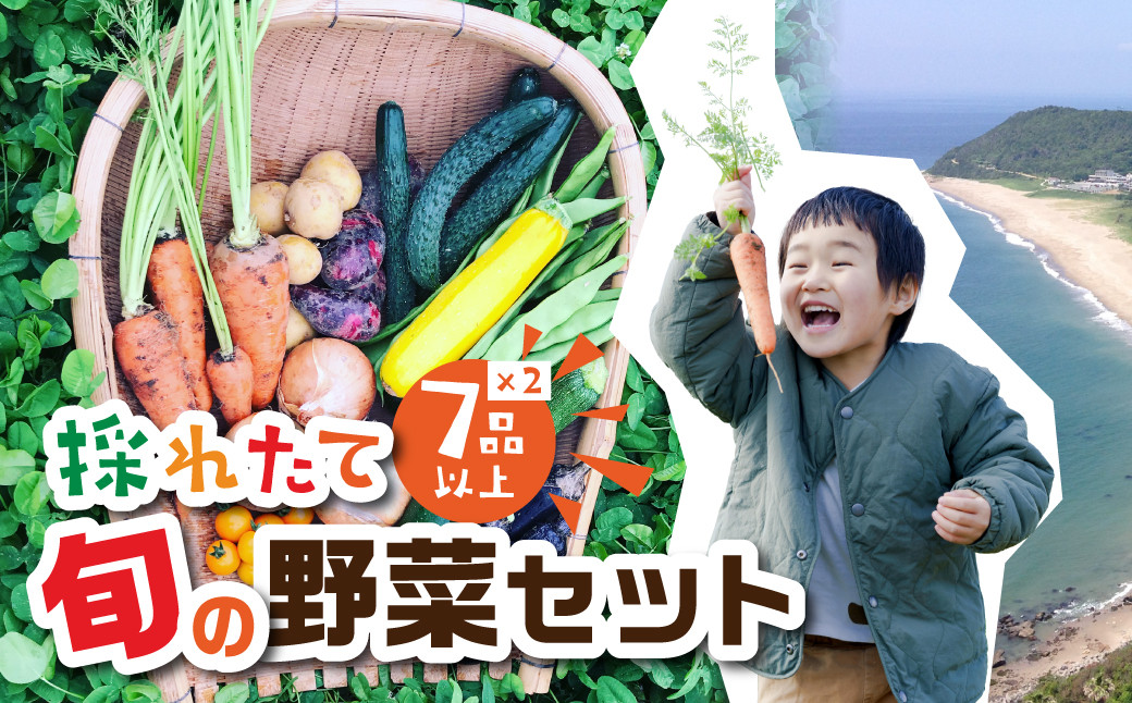 
金賞受賞 有機栽培 旬彩野菜セット 旬の野菜 7種14品目以上 レシピ付き お届け 国産 新鮮 農薬不使用 化学肥料不使用 産地直送 こだわり野菜
