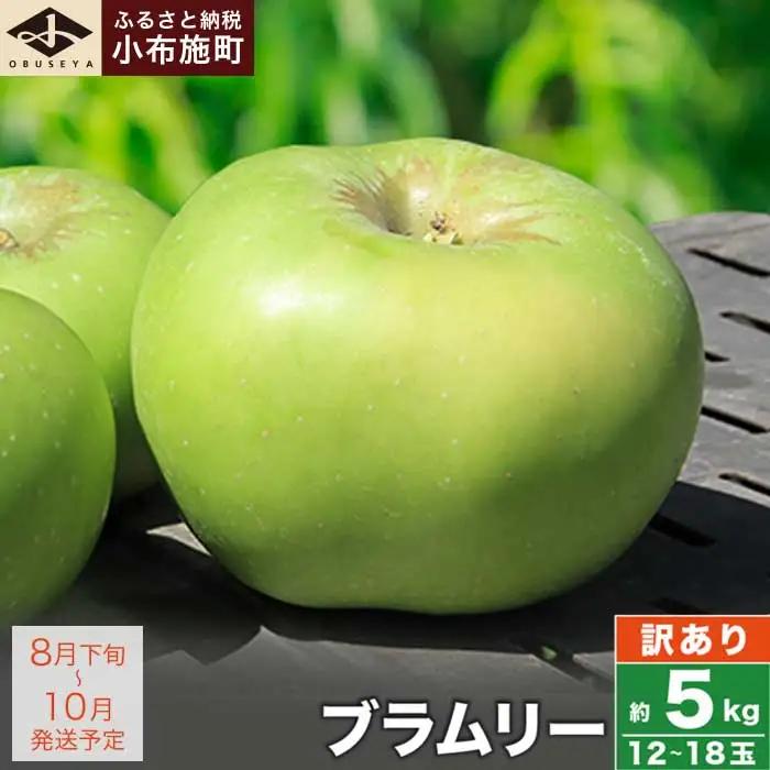 【訳あり】 クッキングアップル ブラムリー 約5kg 12～18玉 ［小布施屋］ 傷 キズ 不揃い 規格外 家庭用 令和8年産  【2026年8月下旬～10月発送】  ［A-47］