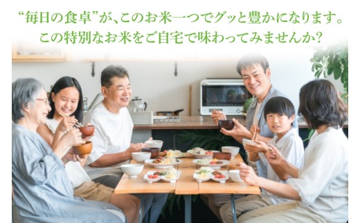 【金賞農家が栽培した家庭用米】立神米「にじのきらめき」30㎏（玄米）令和8年産 【谷田部農産】｜茨城県 大子町 奥久慈 大子産米 精米 米 コンテスト 受賞 生産者（BT093）