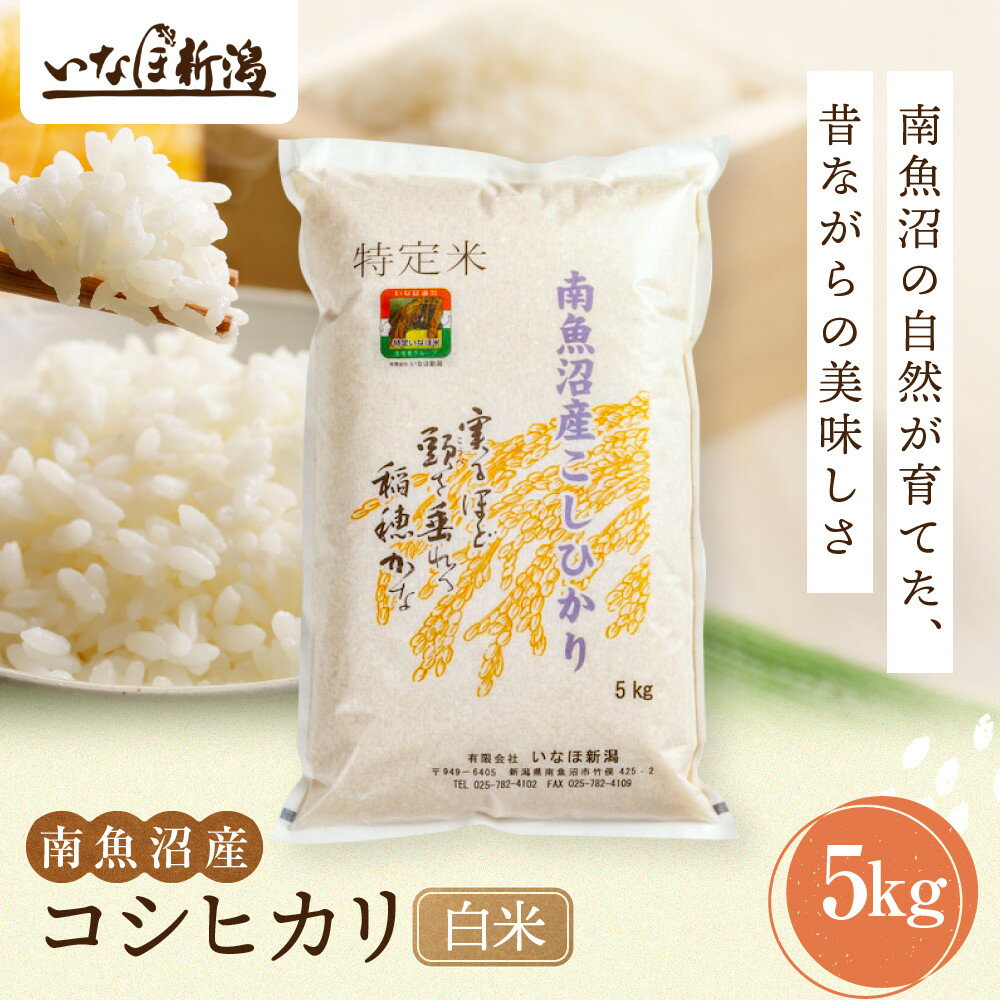 【ふるさと納税】【令和7年産米】南魚沼産コシヒカリ 白米 5kg | お米 こめ 白米 食品 人気 おすすめ 送料無料