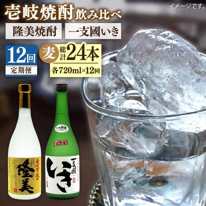 【全12回定期便】隆美焼酎・かめ貯蔵 いき 27度の2本入りセット [JDB200] 180000 180000円