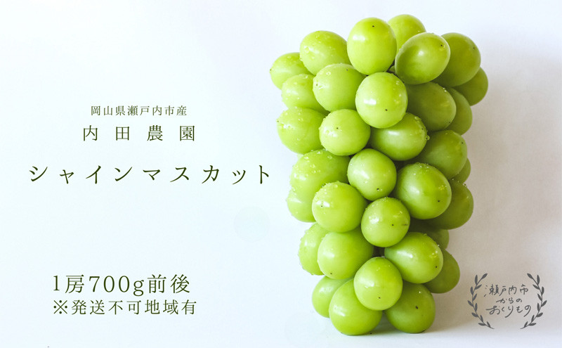 
                  シャインマスカット1房（700g前後）内田農園 岡山県 瀬戸内市 邑久町産 葡萄 ぶどう【配達不可：北海道・沖縄・離島】 果物類 ブドウ フルーツ
                