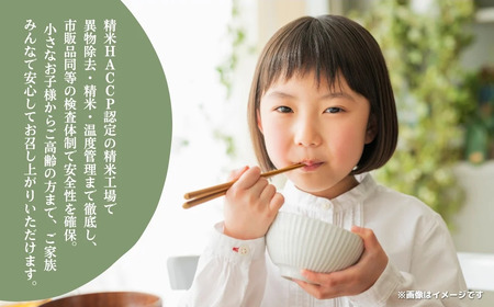 《先行予約・令和7年産新米》千葉県神崎町産ふさこがね5kg×2袋｜早場米産地の新米を食卓へ｜9月以降順次発送予定｜数量限定[025-a003]