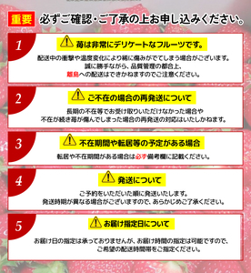 竜王町産 いちご きらめきの雫 約165g以上 × 4パック 食べ比べ セット