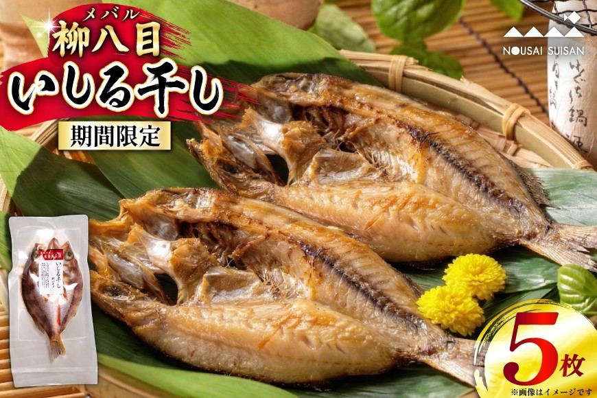 
                  【期間限定】柳八目（メバル）いしる干し 5枚 [能西水産 石川県 志賀町 AD4112] 魚 干物 いしる干し メバル めばる
                