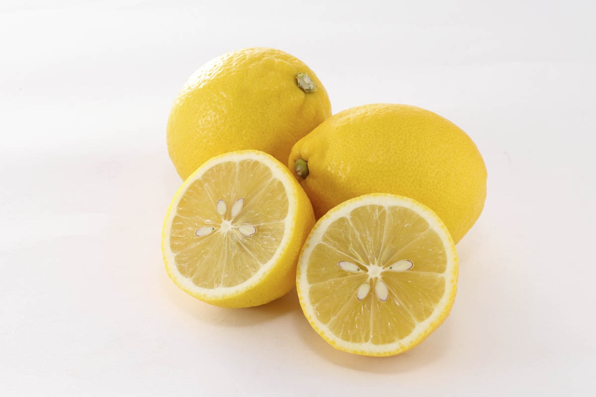 
                  ＜皮まで食べられる＞愛媛育ちのレモン 3kg 防腐剤・ワックス不使用＜C70-20＞【1470687】 YWTK020
                