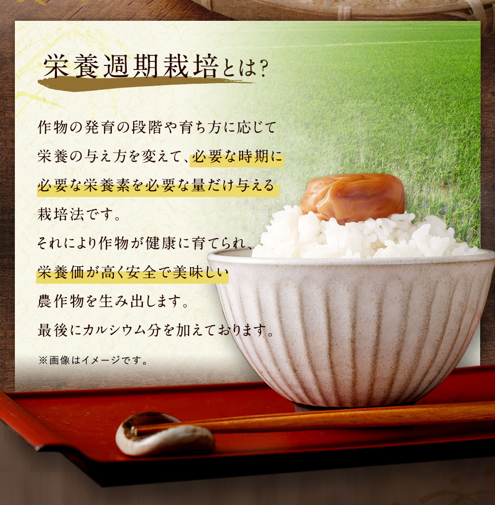 幸田町産「栄養週期栽培米」あいちのかおり 10kg 白米 精米 お米 米 ご飯_イメージ4