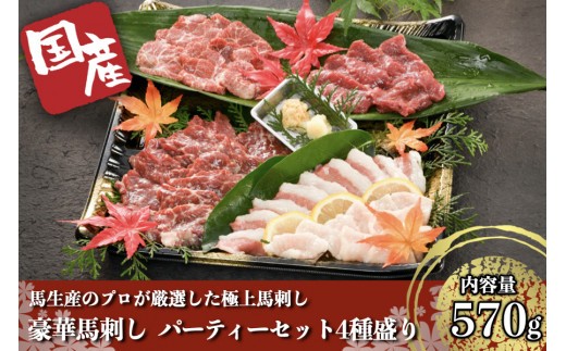 【国産】豪華馬刺し パーティーセット 4種盛り 熊本 馬刺し 4種 570g 盛合わせ 切れてる 特上 霜降り 上赤身 タテガミ フタエゴ 詰め合わせ セット 馬肉 馬 生食用 豪華 贈答用 ギフト JSファーム お中元 お歳暮 阿蘇 南小国町 送料無料