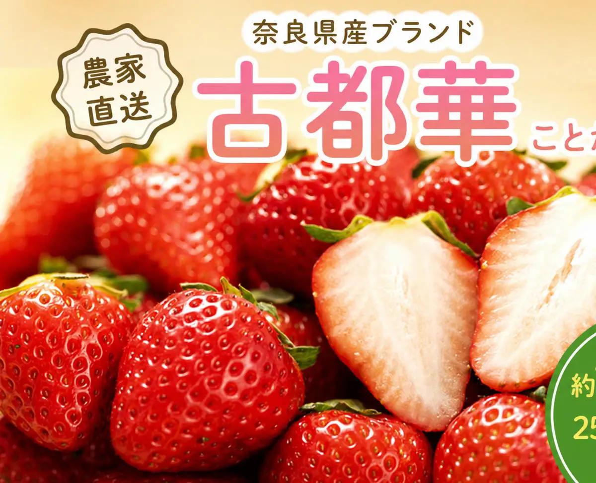 いちご 古都華 完熟 奈良県産 いちご【約1000g 250g×4パック】【冷蔵 先行予約】