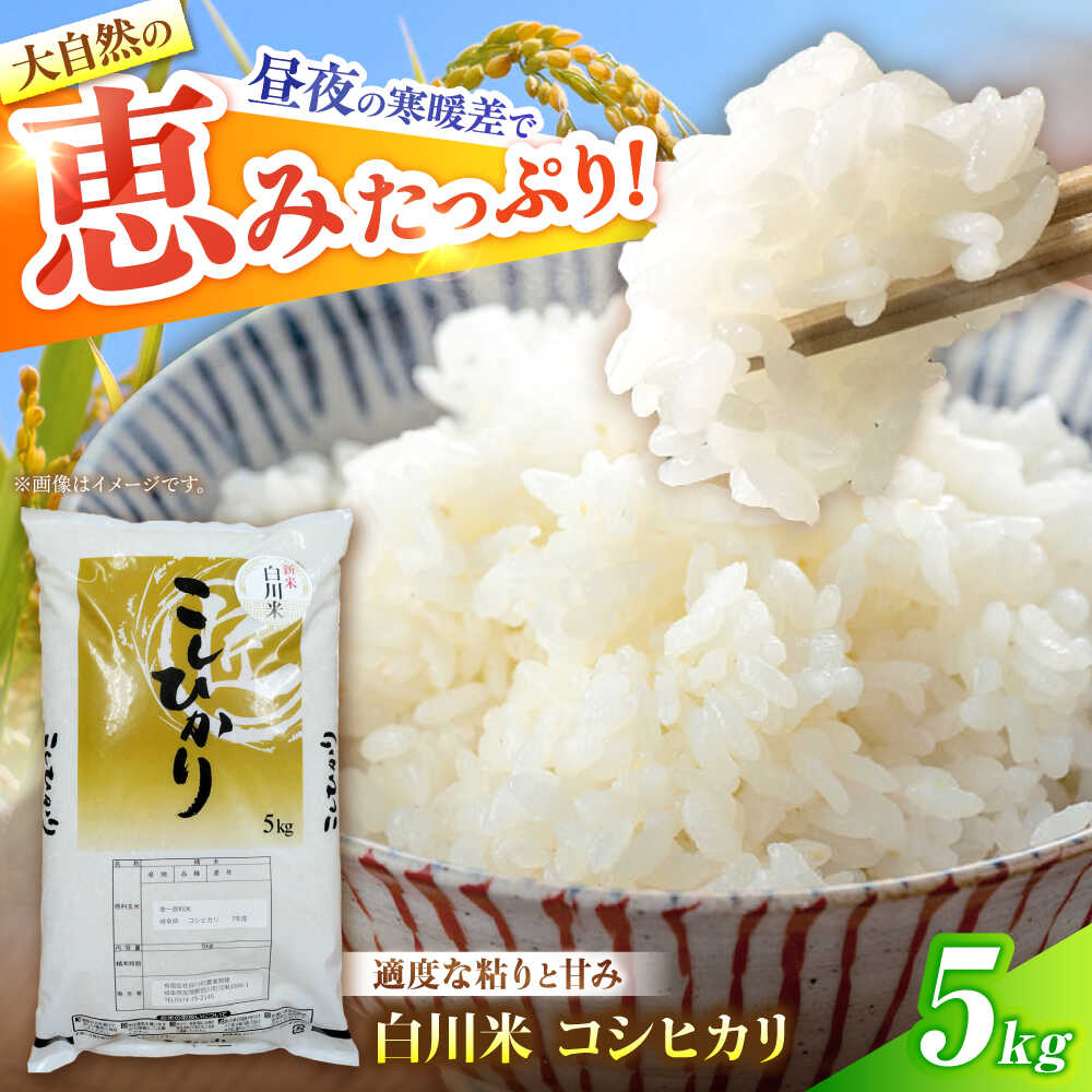 【ふるさと納税】 【令和7年産】 コシヒカリ 5kg 白川町 / 白川町農業開発[AWAH030]