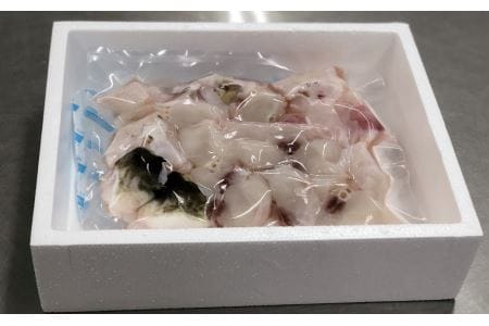 鮮度と品質に自信あり！朝〆新鮮！とらふぐぶつ切り（約６００ｇ）