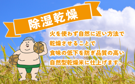 【先行予約】里山のこしひかり ほくの里 2kg × 2袋 計4kg【2月配送】| 新米 令和7年産 ブランド米 銘柄米 コシヒカリ お米 コメ こめ  4キロ 白米 精米 国産