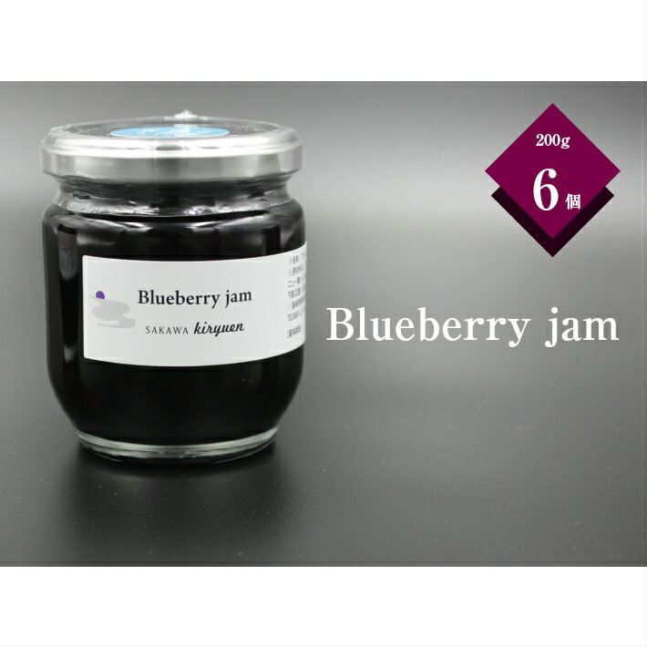 【ふるさと納税】＜ブルーベリー ジャム 6個セット＞ ゴロっと 果肉入り 高知県 佐川町 国産【常温】