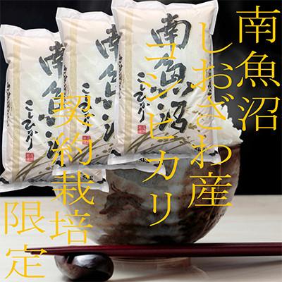 ふるさと納税 南魚沼市 【発送月固定定期便】生産者限定 契約栽培 南魚沼しおざわ産コシヒカリ 精米15Kg全3回