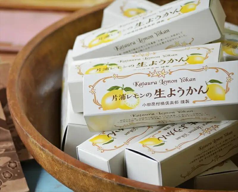 小田原老舗和菓子店の手づくり片浦レモンの生ようかん【和菓子店 手作りようかん 片浦レモンの生ようかん  職人の手作り 神奈川県指定銘菓 レモン 和スイーツ   神奈川県 小田原市 生ようかん 生ようか