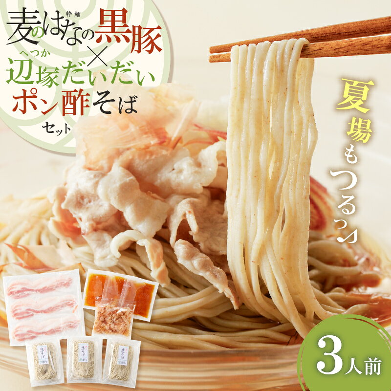 【ふるさと納税】 麦のはな の 黒豚×辺塚だいだいポン酢そば セット 3人前 そば 蕎麦 石臼挽きそば 黒豚 ポン酢 辺塚だいだい 鹿児島県産 出汁 こだわり 謹製 豚 肉 スープ 細麺 粋麺麦のはな ふるさと納税 鹿児島 おすすめ ランキング プレゼント ギフト