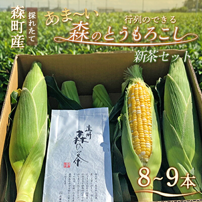 【ふるさと納税】とうもろこし 新茶 セット 詰め合わせ しんちゃん農園の甘～い森のとうもろこし 8～9本 緑茶 1パック 野菜 トウモロコシ お茶 茶 日本茶 茶葉 静岡茶 煎茶 お茶っぱ 静岡 静岡県 森町　お届け：2025年6月上旬～7月中旬