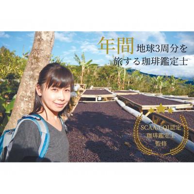 ふるさと納税 福井市 【年間12万本製造!】和珈屋のアイスコーヒーリキッド 8本入 |  | 01