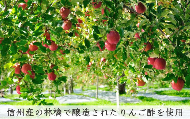 国産はちみつ梅 無添加 梅干し 訳あり つぶれ梅 低塩6% 1kg(500g×2パック) 化学調味料 無添加食品  【baiko001A】