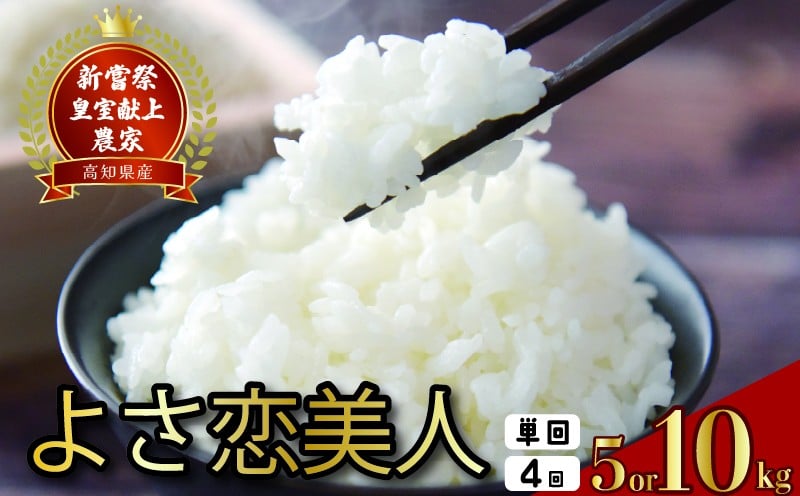 
                  令和8年産 よさ恋美人 白米 選べる 5kg 10kg 定期便 4回 1回 お米 精米 新米 ごはん ご飯 高知県産 弁当 おにぎり 料理 新嘗祭皇室献上米 令和8年 R8年 高知県安芸市 もちもち食感 美味しい 農家直送 先行予約 定期便 高級米 ブランド米 冷めても美味しい 炊き立て 食べ比べ 人気 おすすめ 贈答用 ギフト 【お米の定期便】人気 安芸市 高知県
                