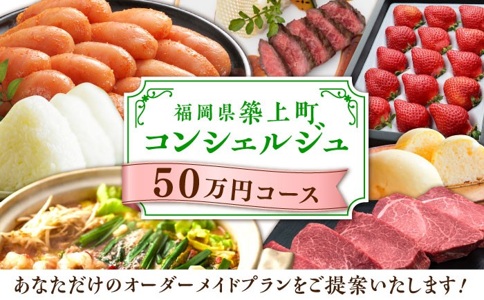 
【後から選べる！】築上町 コンシェルジュ 寄附額 50万円 コース 《築上町》 おすすめ おまかせ 定期便 [ABZY001] 500000円 50万円
