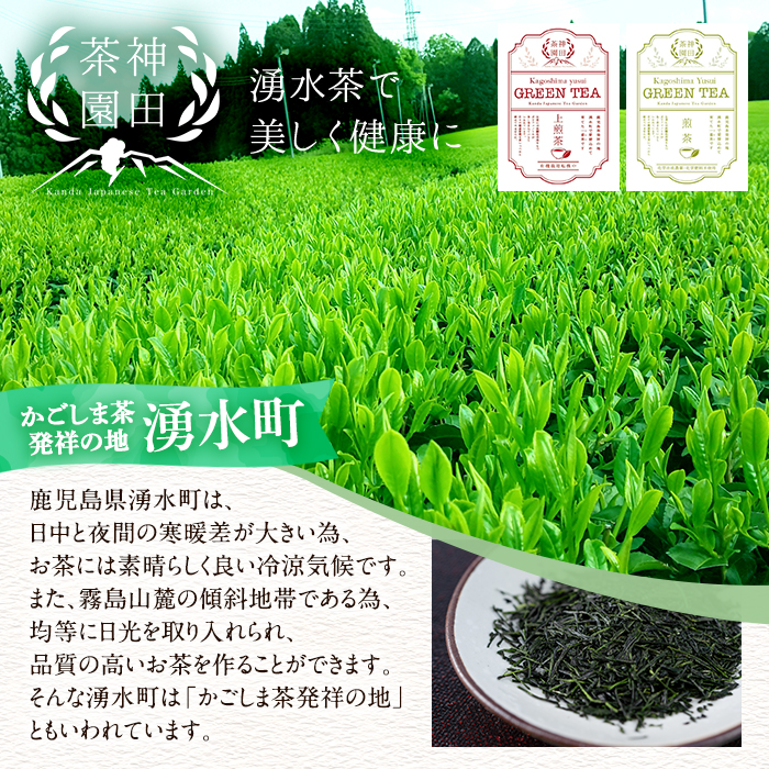 y313 《数量限定》鹿児島県湧水町産！栽培期間中農薬・化学肥料不使用！湧水上煎茶 計500g(100g×5本) 国産 九州産 鹿児島県産 茶葉 お茶 茶 日本茶 緑茶 上煎茶 一番茶 湧水茶 浅蒸し
