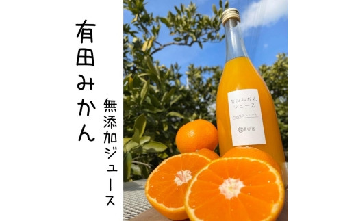 
【数量限定】有田みかん１００％無添加ジュース720ml　2本セット
