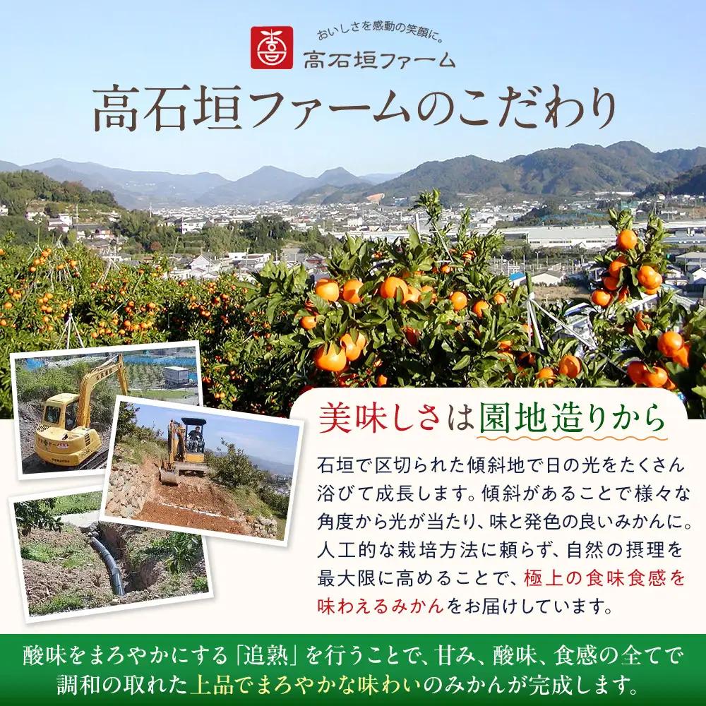 高級 有田みかん 木箱姫 32個入 秀品 M・Lサイズ