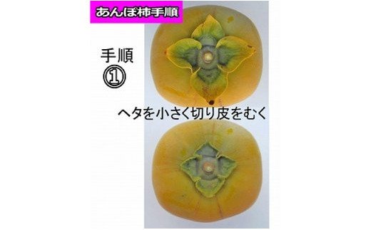  【県認定エコファーマー】あんぽ柿用生渋柿（平たねなし柿） 約4.5～5kg【10月下旬から順次発送】 /柿 フルーツ 果物 くだもの 先行予約 タネなし 食品 人気 おすすめ 送料無料 和歌山 【a