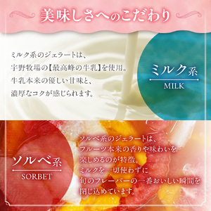 幸せな牛のミルクからできたジェラート パティシエおまかせ6個セット アイス ジェラート ミルク 