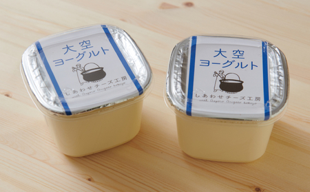 大空ヨーグルト 400g×6個 ヨーグルト ヨーグルト ヨーグルト [BEAE005]