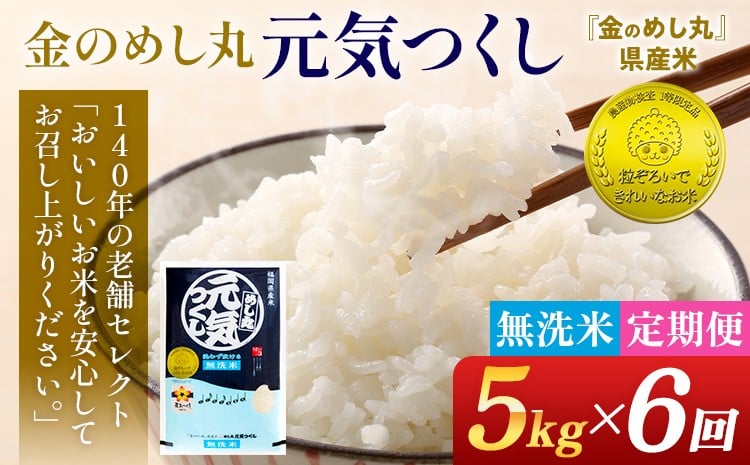 
            【無洗米 6回定期便】 令和7年産 無洗米 金のめし丸 元気つくし 5kg 定期便 半年 福岡 お米 米 ごはん ご飯 お弁当 おにぎり 金のめし丸県産米 福岡ブランド米 めし丸 ライス rice 飯
          