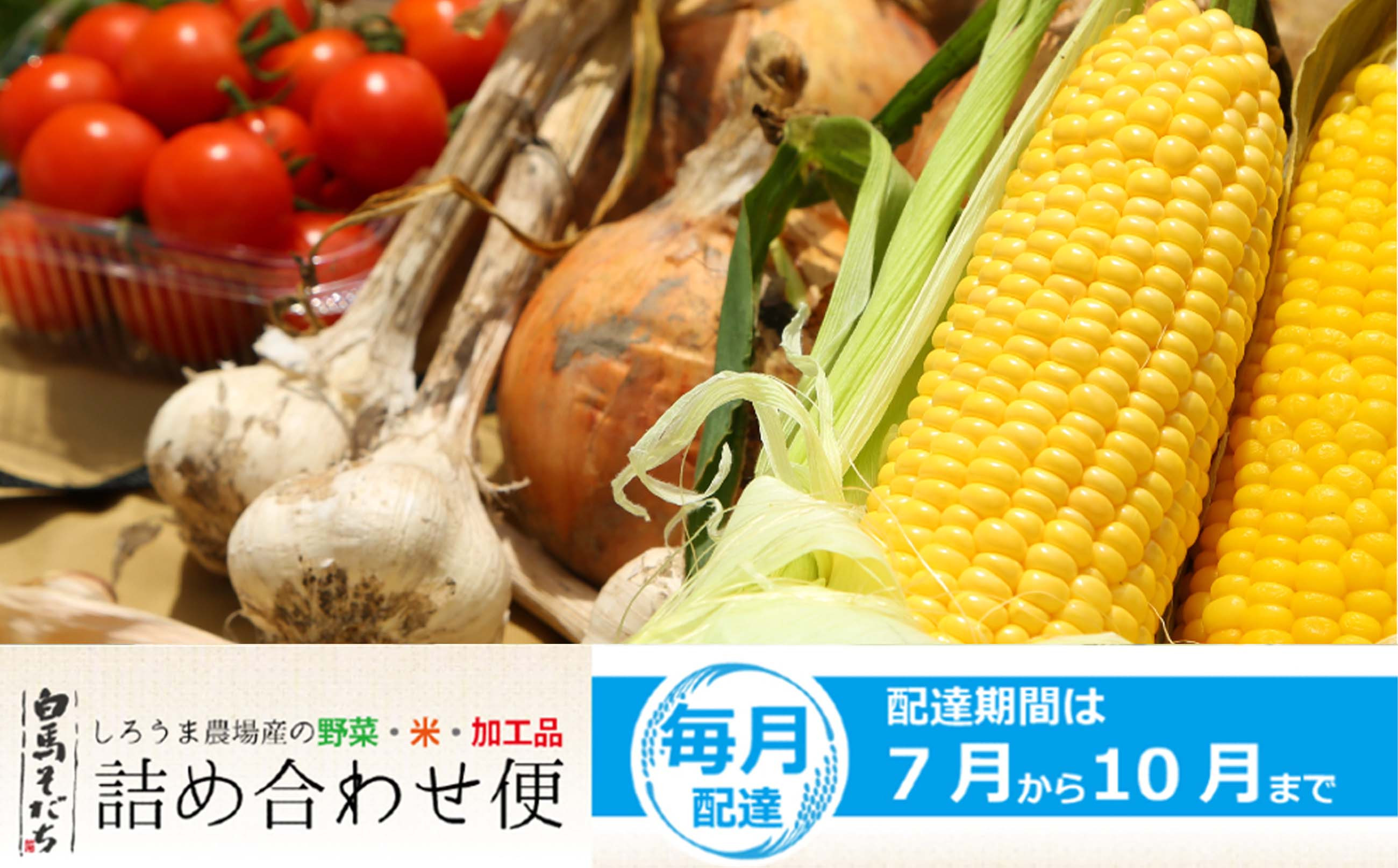 
                  【2026年発送分先行予約】【期間限定】白馬そだち（旬の野菜・米・加工品）詰合せ便（全4回）2026年7月から10月までの毎月お届け/長野県白馬村　旬の野菜　詰め合わせ　セット　直送【H0040196】
                