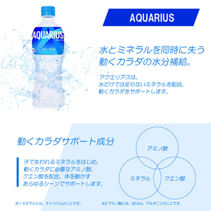 【定期便】アクエリアス 500mlPET（24本入）×3か月 コカ･コーラ  スポーツドリンク 水分補給 BB-0038