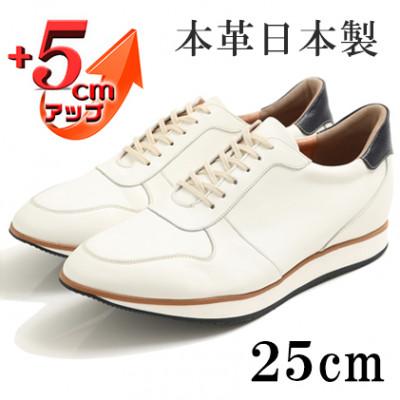 ふるさと納税 大和郡山市 スニーカー 本革紐タイプ 5cmアップシークレットシューズ ホワイト 25cm No.801
