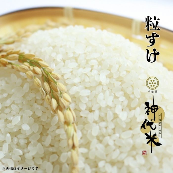 【ふるさと納税】 米 選べる容量 神代米 （ 粒すけ ） 精白米 5kg 10kg