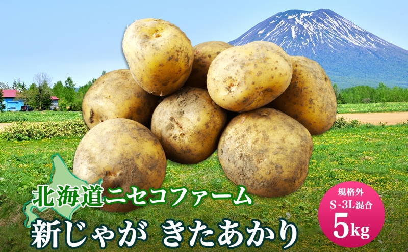 北海道産 じゃがいも きたあかり 5kg 規格外 訳あり S-3L サイズ混合 新じゃが 芋 ジャガイモ いも 野菜 農作物 お取り寄せ キタアカリ馬鈴薯 ニセコファーム 送料無料