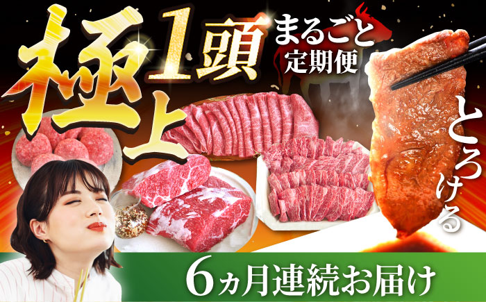 【牧場直送】【6回定期便】佐賀牛 極上 1頭まるごと定期便 シルバーコース【有限会社佐賀セントラル牧場】牛肉 [IAH034]