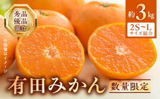 BF6031n_【2026年先行予約】 期間限定 有田みかん 約 3kg 2S～Lサイズ サイズ混合 30個 前後 秀品 優品 紀州 有田 みかん 温州みかん フルーツ 果実 甘み 酸味 絶妙 バランス 果物 柑橘 国産 食品 食べ物 マルシ農園 お取り寄せ 和歌山県 湯浅町 送料無料