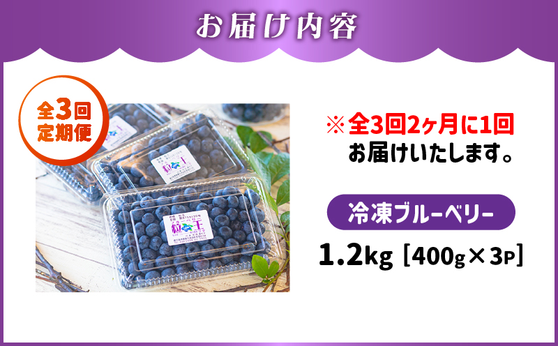 【10/1(木)より寄附金額改定予定】2467-1 【全3回定期便】（2ヶ月に1回お届け）粒王 ブルーベリー 1.2kg（400g×3P）　KN030-T01【ブルーベリー観光農園ワダ】