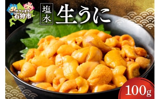【目利きの達人セレクト】塩水 生うに 100g（ロシア産） | ウニ 雲丹 無添加 海鮮 魚介 天然 北海道 石狩市