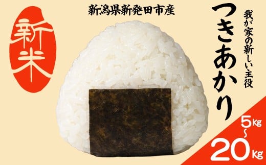 
            【先行予約】 令和7年産 つきあかり 選べる 5kg 10kg 20kg コシヒカリ こしひかり 同等以上の食味 ご飯 備蓄 コメ お米 米 こめ しんまい 新潟産 新潟米 新潟県 新潟 新発田 新発田市 国産 新発田市産 斗伸 toushin036P
          