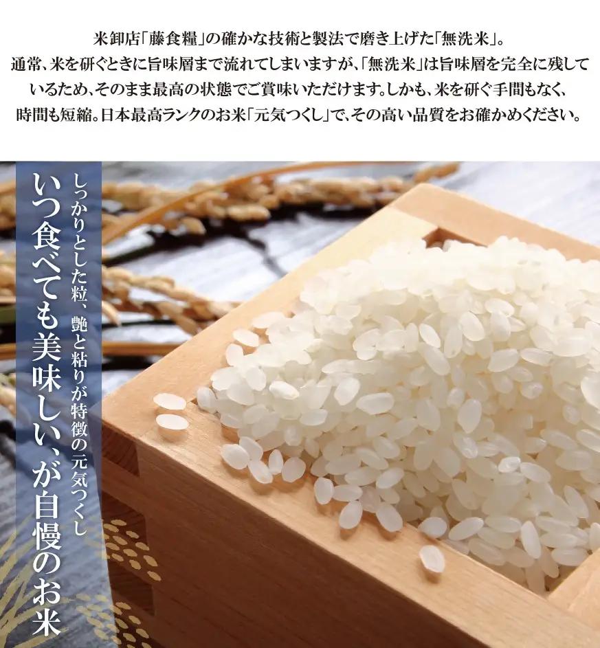 Z17-81 無洗米 元気つくし10kg定期便(隔月・年6回)