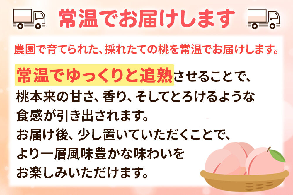 季節の赤い桃（あかつき、まどか、川中島白桃）家庭用 約3kg（約12玉～18玉） 喜三郎農園 [秋田県 横手市 桃 もも モモ 果物 フルーツ 家庭用]